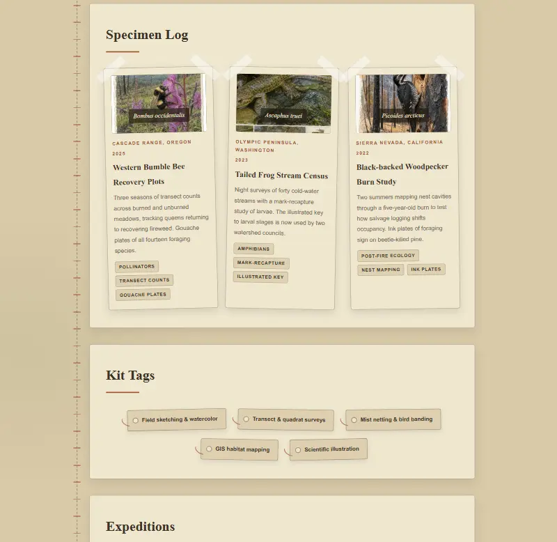 template-57 preview